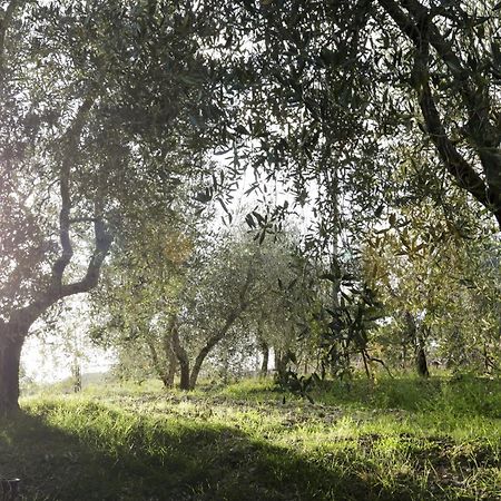 Country House Sofiavillas Gaiole in Chianti Exteriér fotografie